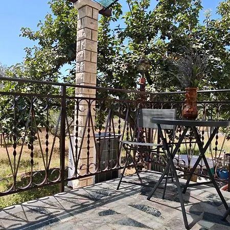 Apartma Istrsko Zavetje Pri Kopru - Istrian Hideaway Near Koper *