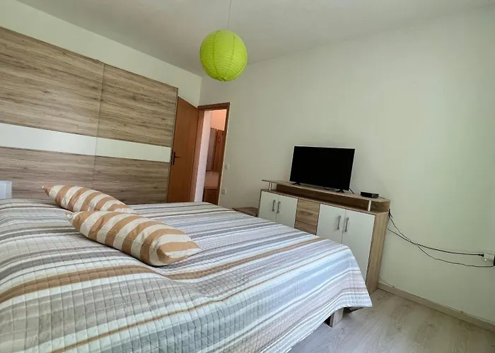 Cozy Koper - New 2023