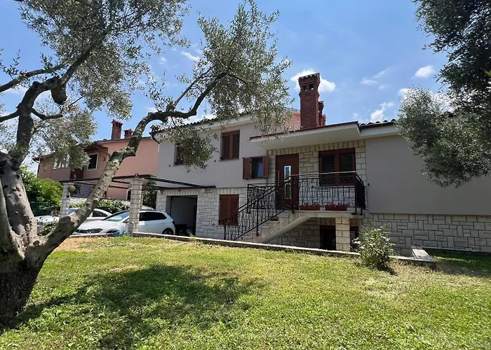 Cozy Koper - New 2023 Pobegi